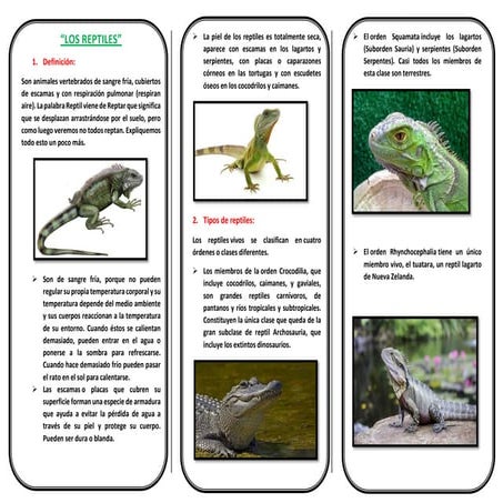 Triptico los reptiles