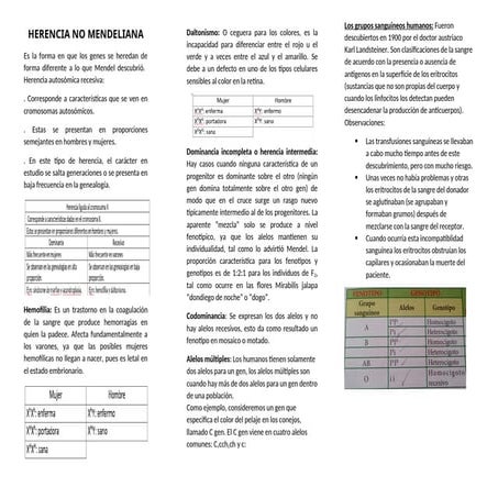 tripticoo.docxxxxxx (modelo de triptico)