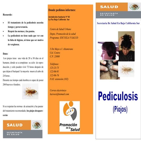 Triptico_Pediculosis.pdf