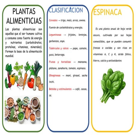 TRIPTICO PLANTAS ALIMENTICIAS RECIEN HECHO HOY