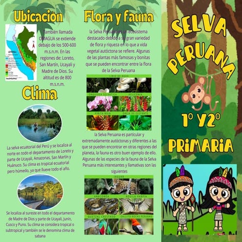 flora , fauna, relieve de la selva peruana.pdf