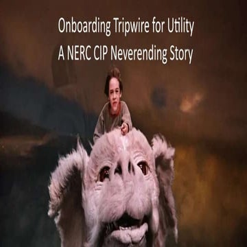 Tripwire Energy Working Group: Customer Session with Chase Cole