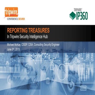 Vulnerability Management Reporting ...