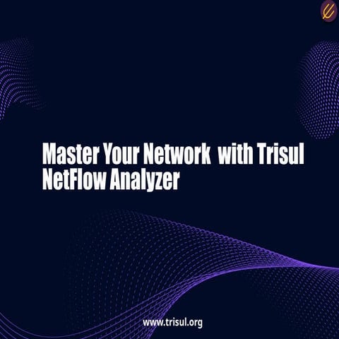 Master your network with Trisul NetFlow Analyzer