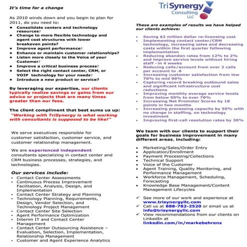 Trisynergy Consulting Llc Services Overview