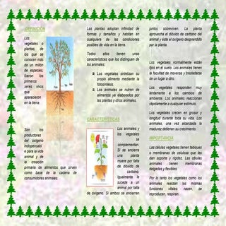 Triptico sobre las plantas