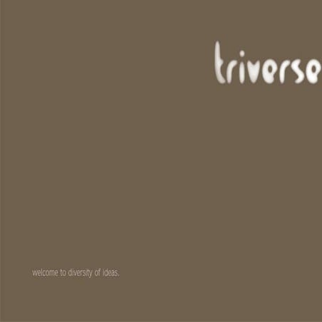 Triverse Advertising Profile | PDF