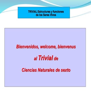 Trivial estructura y funciones sere...