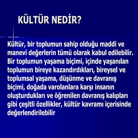 Türk Yönetim Kültürü