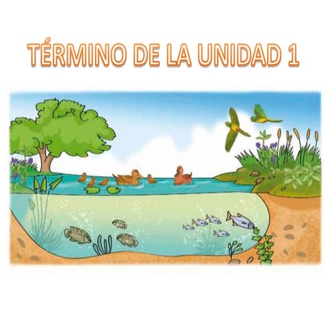 Término de la unidad de ecosistemas
