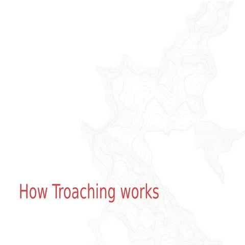Troaching Institute How Troaching Works