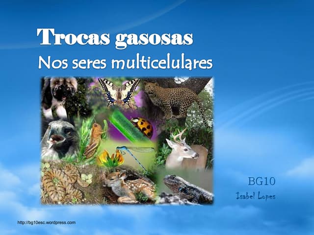 Trocas gasosas nos seres multicelul...