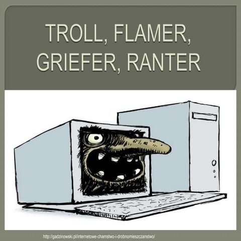 Troll, flamer, grifer, ranter