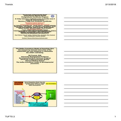 The Buffer-Transducer Model of Parenting: How the moment by moment interaction of the infant/child and care enhances or diminishes the child’s well-being