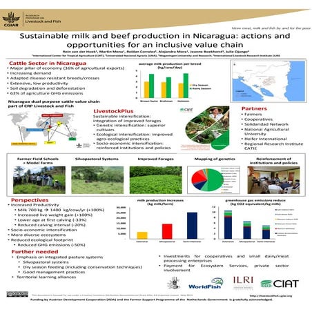 Sustainable milk and beef production in Nicaragua: Actions and opportunities ...