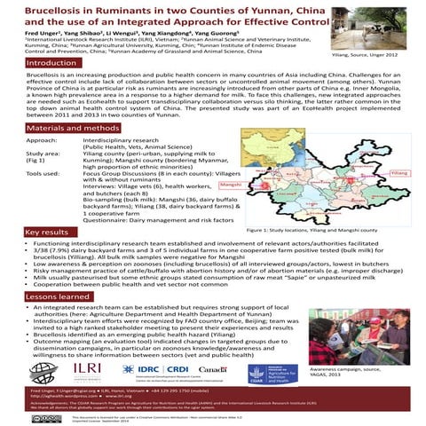 Brucellosis in ruminants in two counties of Yunnan, China and the use of an i...