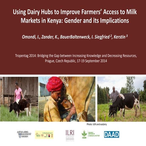 Using dairy hubs to improve farmers’ access to milk markets in Kenya: Gender ...