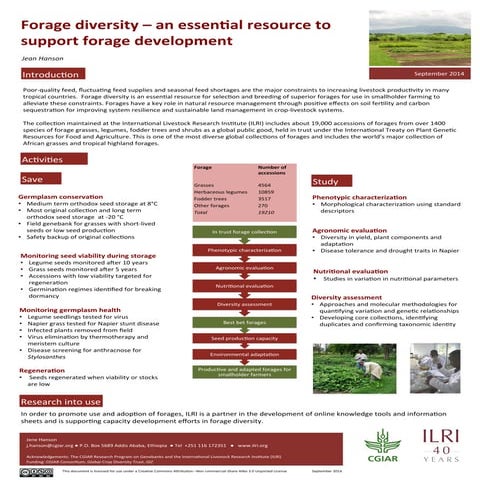 Forage diversity – an essential resource to support forage development