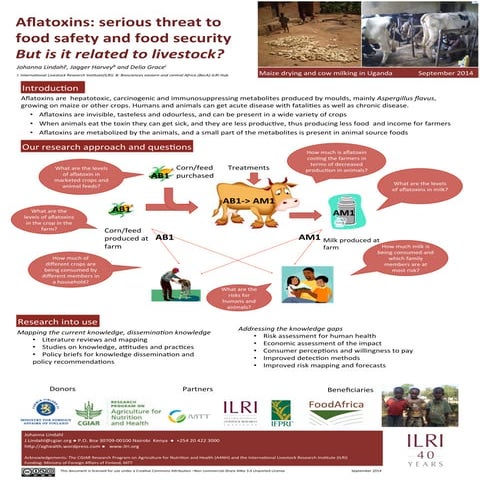 Aflatoxins: serious threat to food safety and food security  But is it relate...