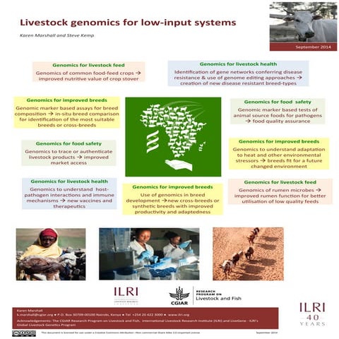 Livestock genomics for low-­‐input systems