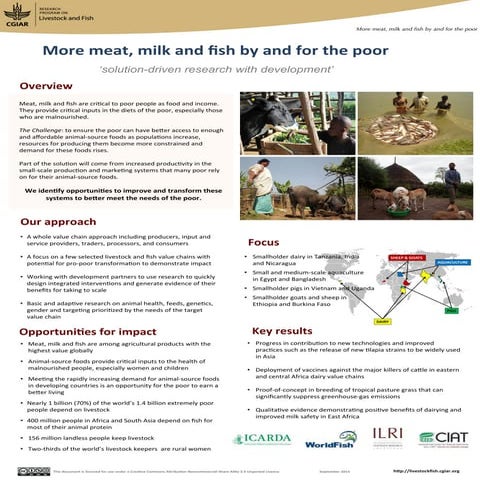 More meat, milk and fish by and for the poor: Solution-driven research with d...