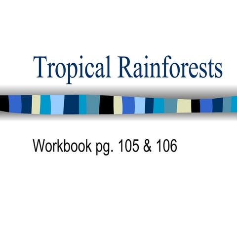 Sec 1 Exp - Tropical Rainforests