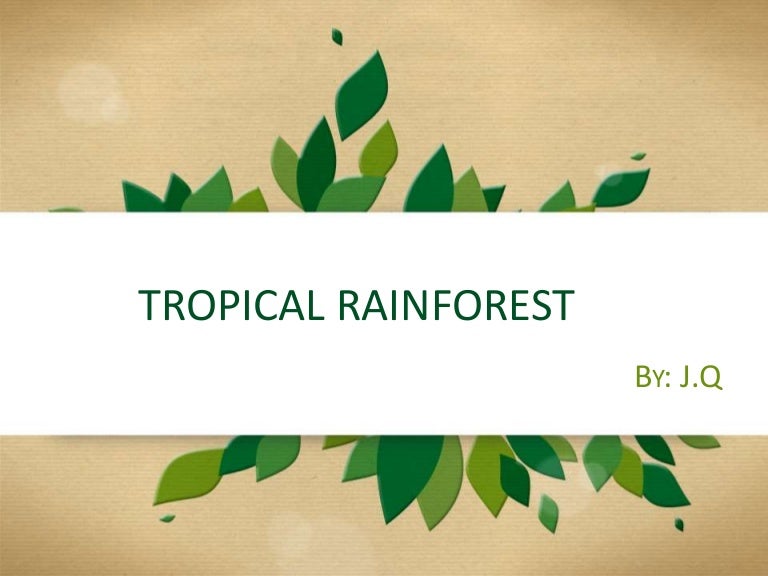 tropical forest by j q google slides themes nature
