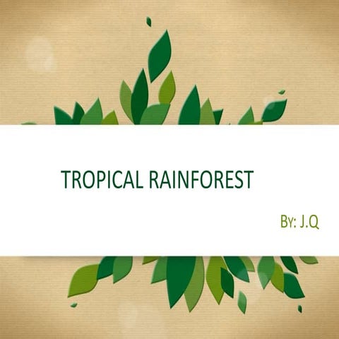 Tropical forest (By: J.Q)