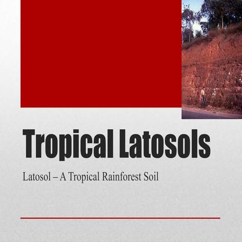 Tropical Latosols - Soils