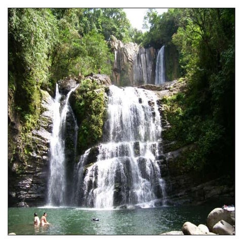 Tropical permaculture3 soil building techniques and housing