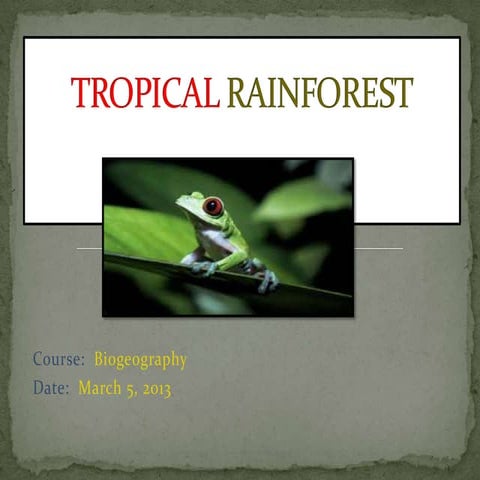 Tropical rainforest