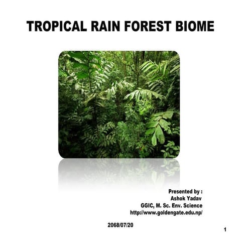 Tropical rain forest biome Ashok Yadav