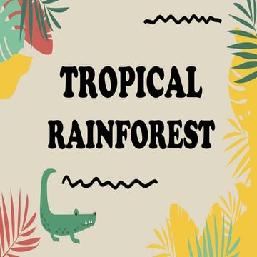 Tropical Rainfroest by Marta Pardo