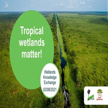 Tropical wetlands matter