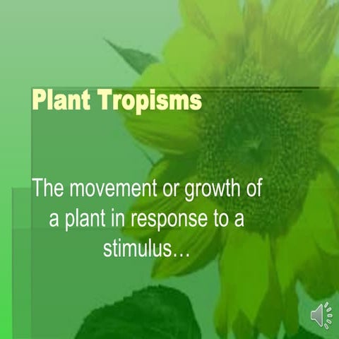 Minors Tropism Notes 2017 