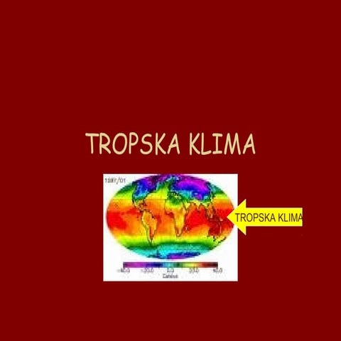 Tropske kišne šume | PDF