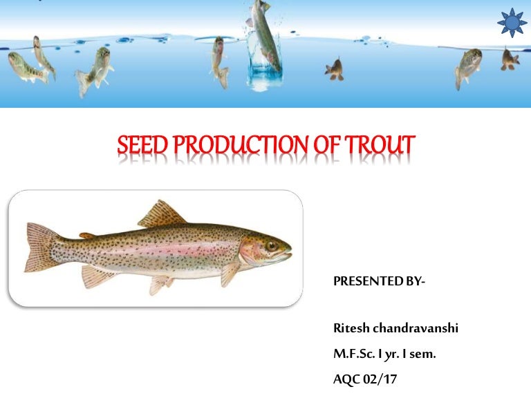 Hatchery management of Trout & present status in india ,ritesh
