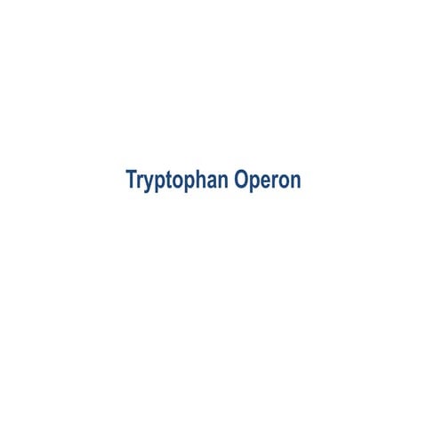 Tryptophan Operon