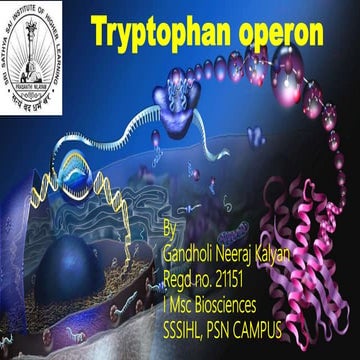 Trp operon