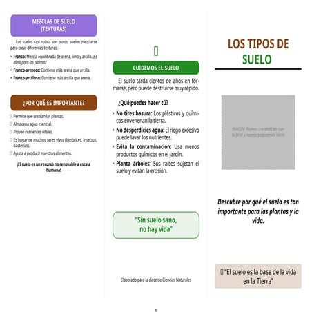 Tríptico - Tipos de Suelos para educacion secundaria primer grado | PDF