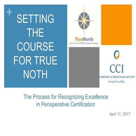 Cnor Certification: Pathway to Excellence | PDF