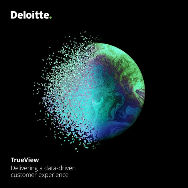 TrueView Delivering a data-driven customer experience 