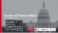 GPG Survey of Trump Voters, December 2016