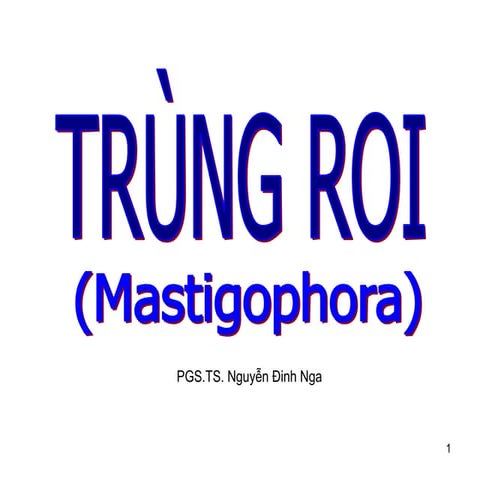 Trung-roi mastgiohora 2024 Ky sinh trung