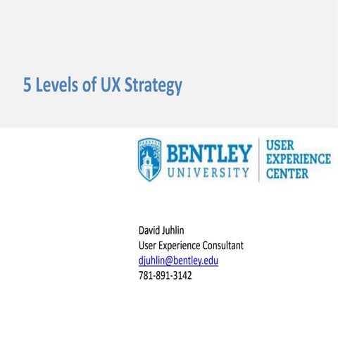 5 Levels of UX Strategy
