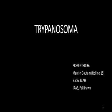 Trypanosoma