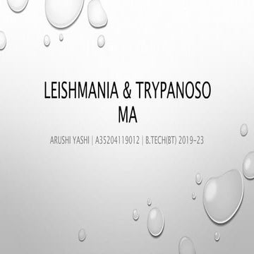 Trypanosoma and leishmania