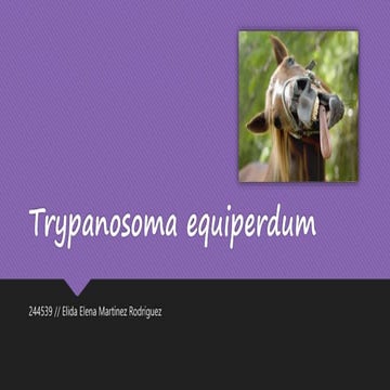 Trypanosoma equiperdum