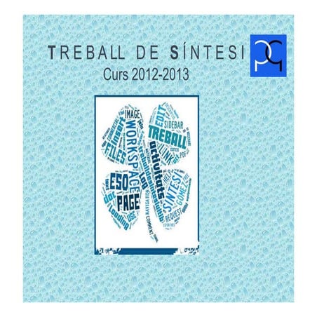 Ts presentació alumnat ts '13