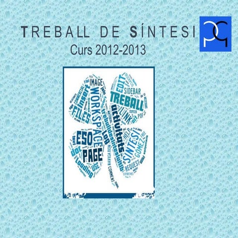 Ts presentació ts '13